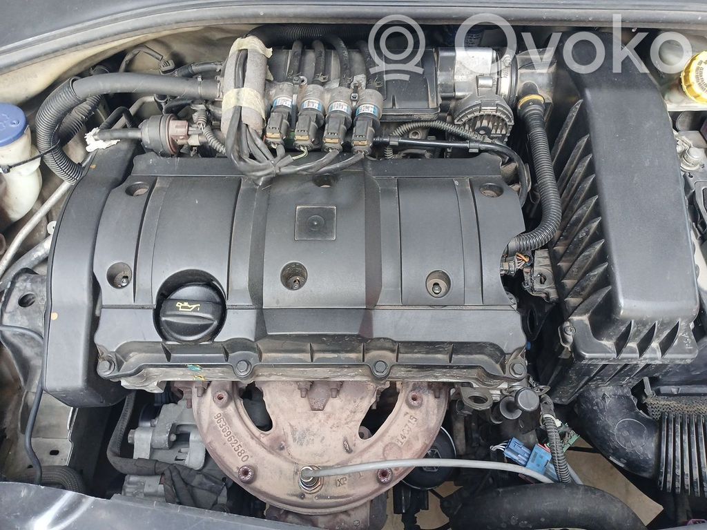 Motor   NFP