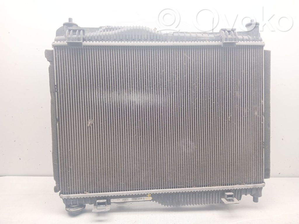 Ford Fiesta Coolant radiator 