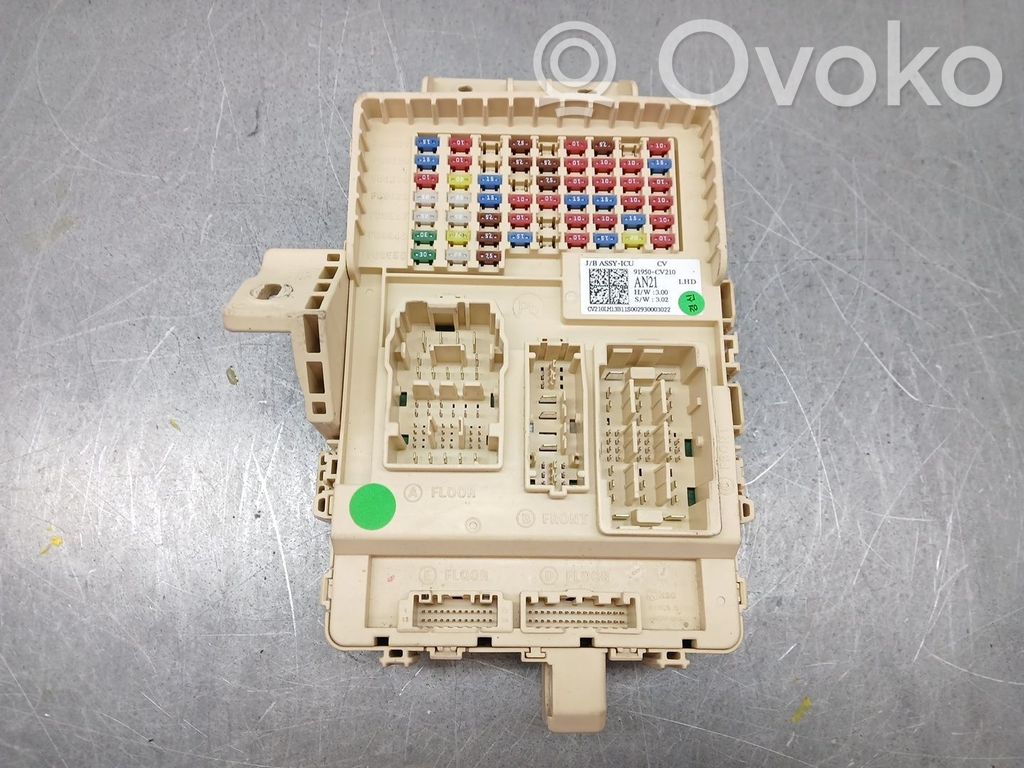 Unidad de control del BSM   91950CV210