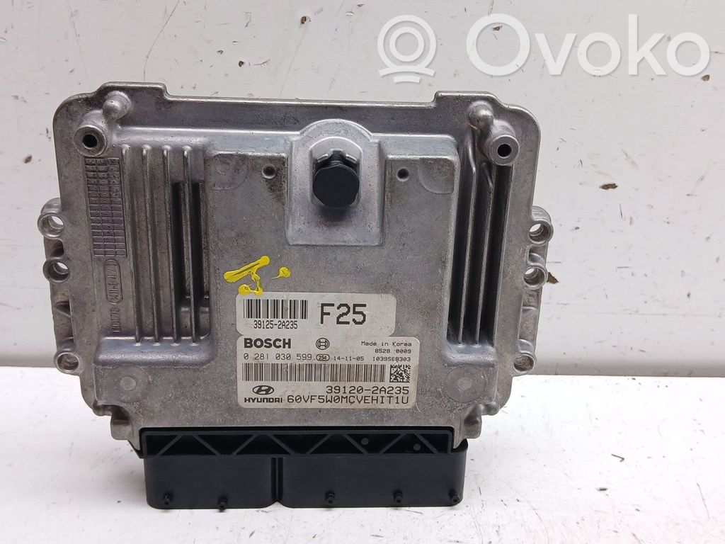 Engine control unit/module   391202A235,0281030599
