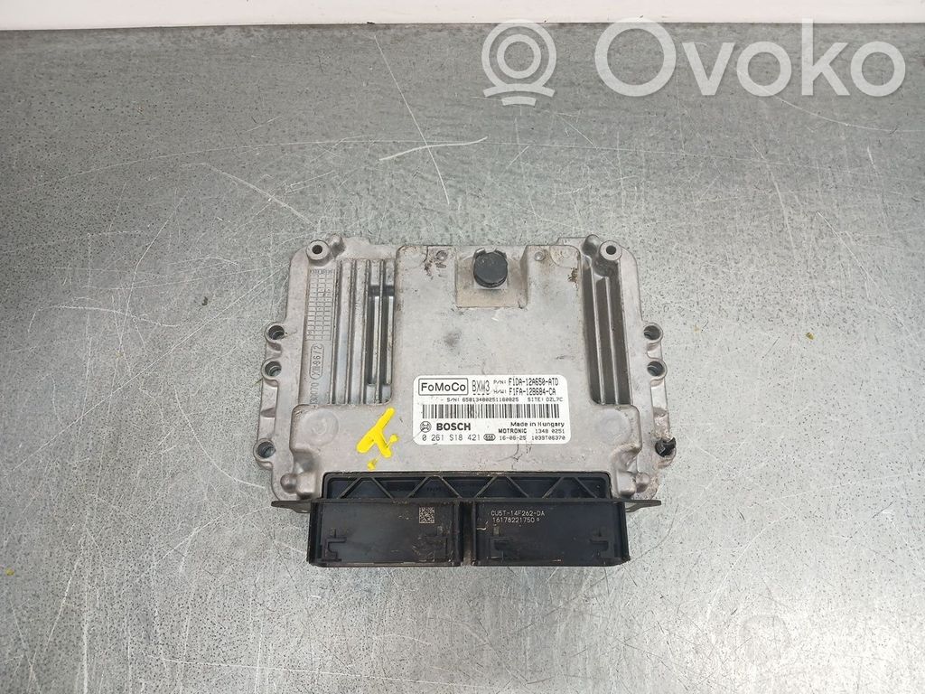 Engine control unit/module   0261S18421,F1DA12A650ATD,F1FA12B684CA