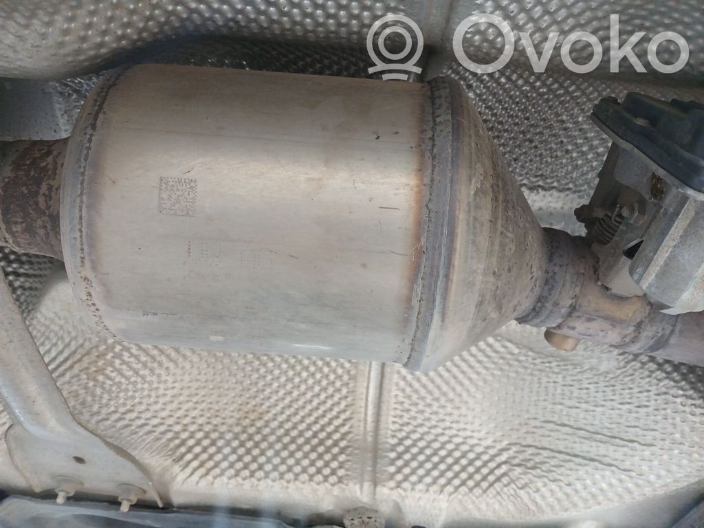 Skoda Yeti (5L) Filtru de particule catalizator/FAP/DPF