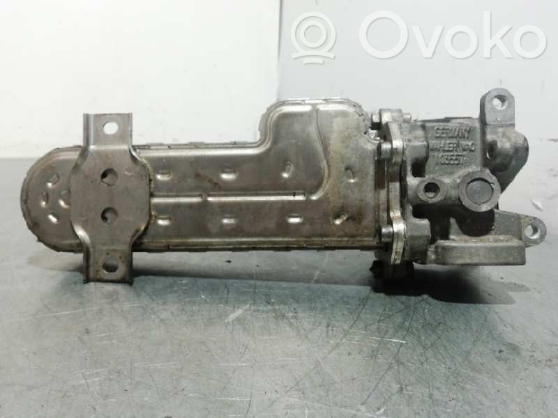 Volkswagen Passat Alltrack Valvola di raffreddamento EGR