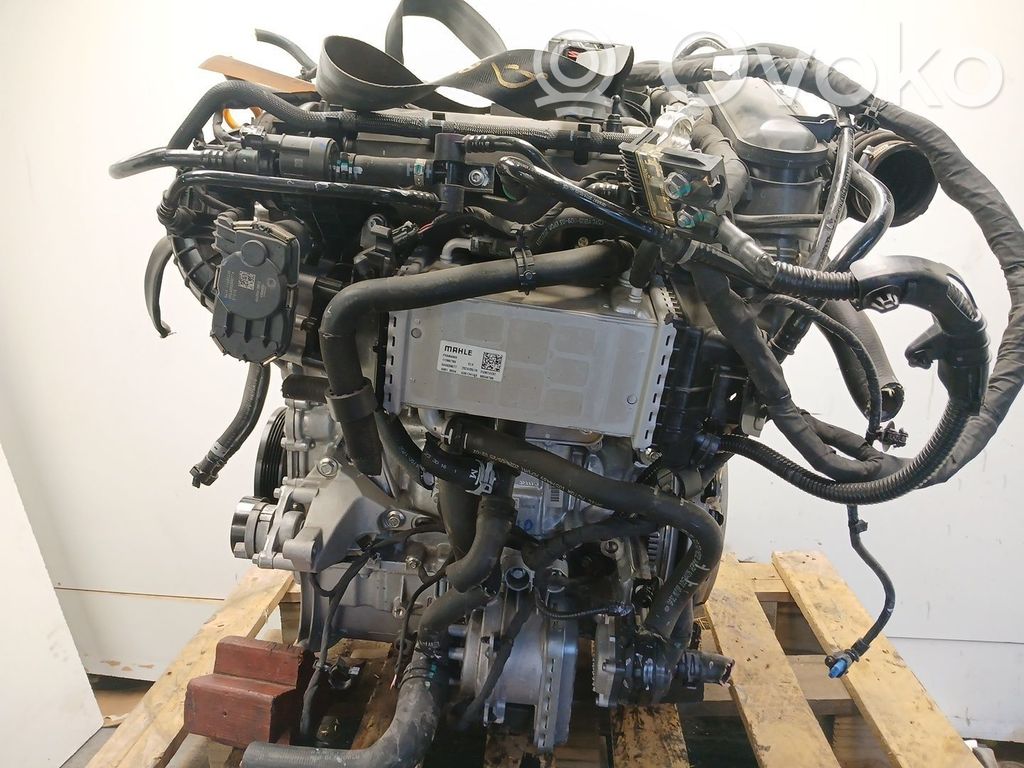 MG MGF Variklis 