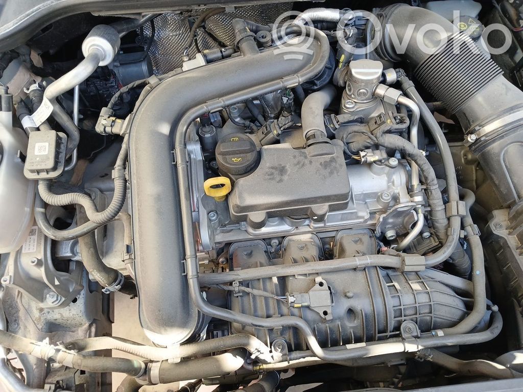 Seat Arona Motor 