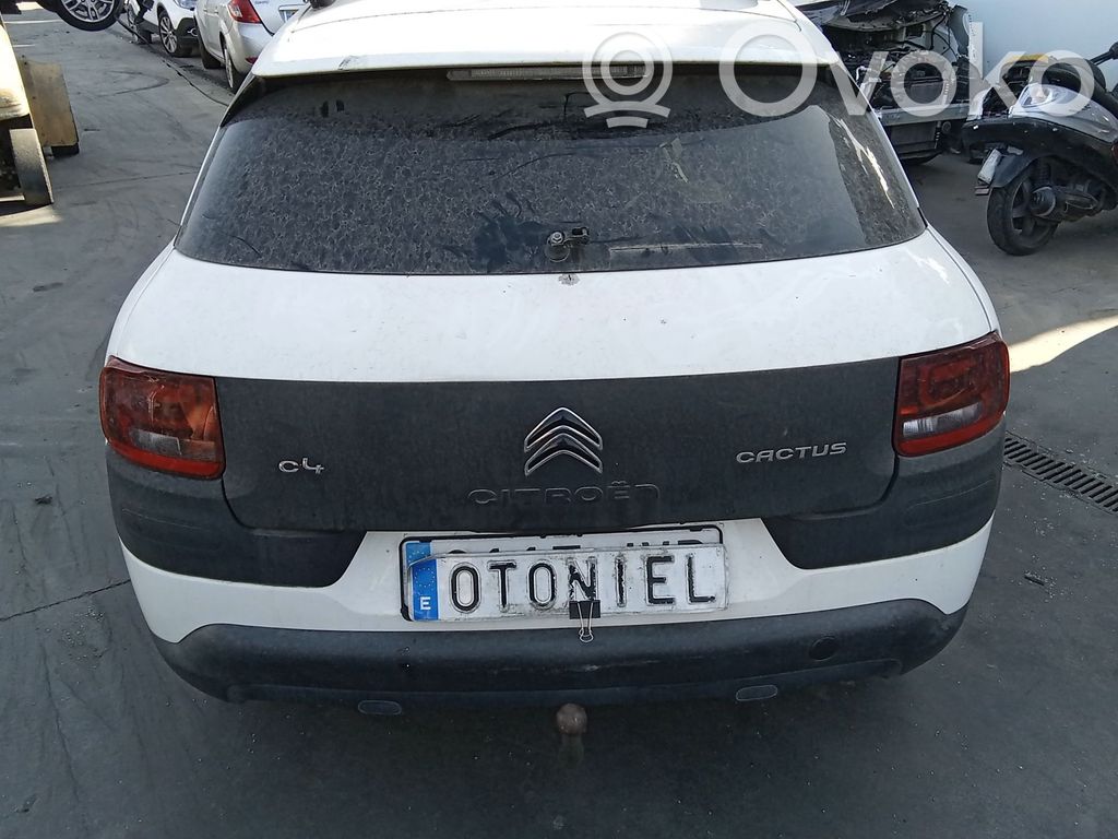 Citroen C4 Grand Picasso Puerta trasera