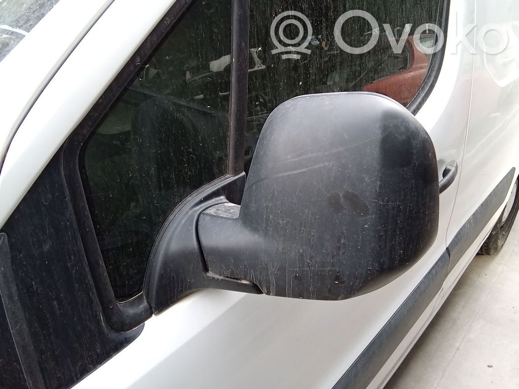 Elektryczne lusterko boczne drzwi przednich   8154TG