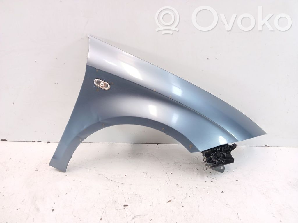 Guardabarro   5P0821022A