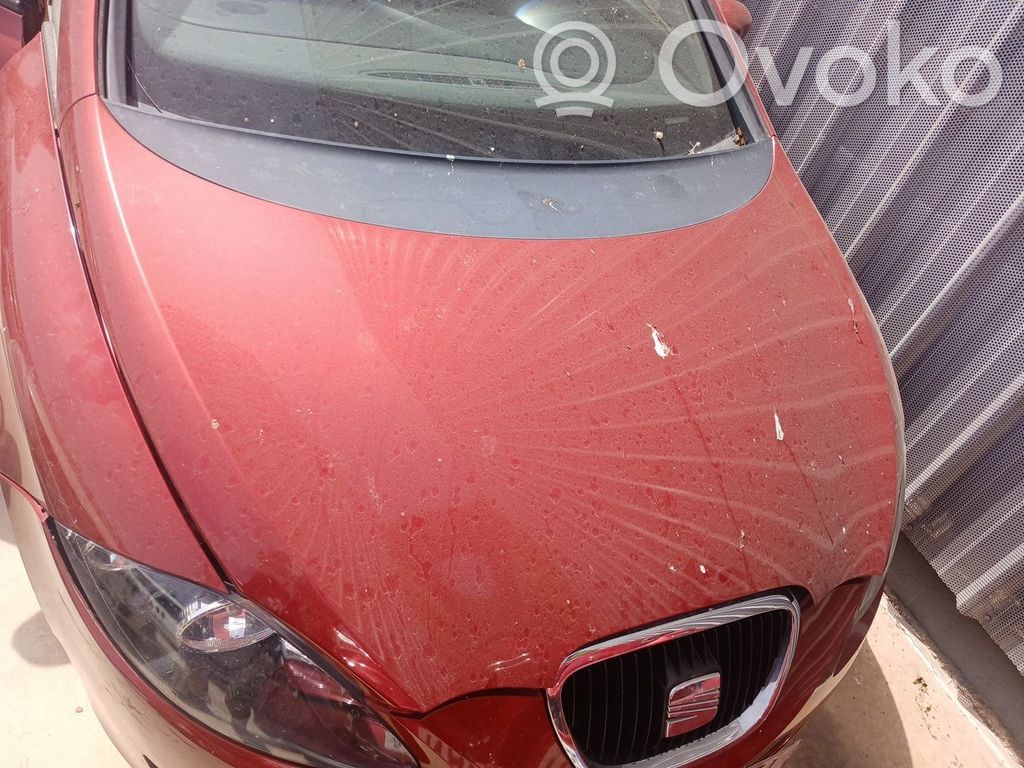 Seat Leon (1M) Capotă motor 