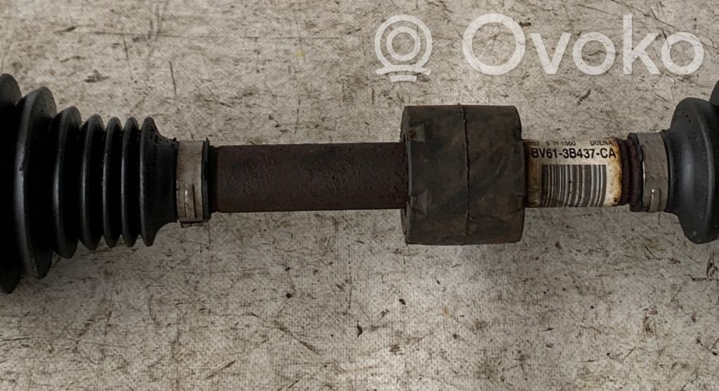 Front driveshaft   BV613B437CA
