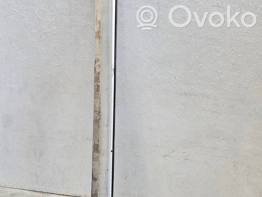 Listón   31448912