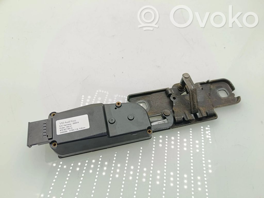 Audi Q7 4L Tailgate/trunk/boot lift motor 