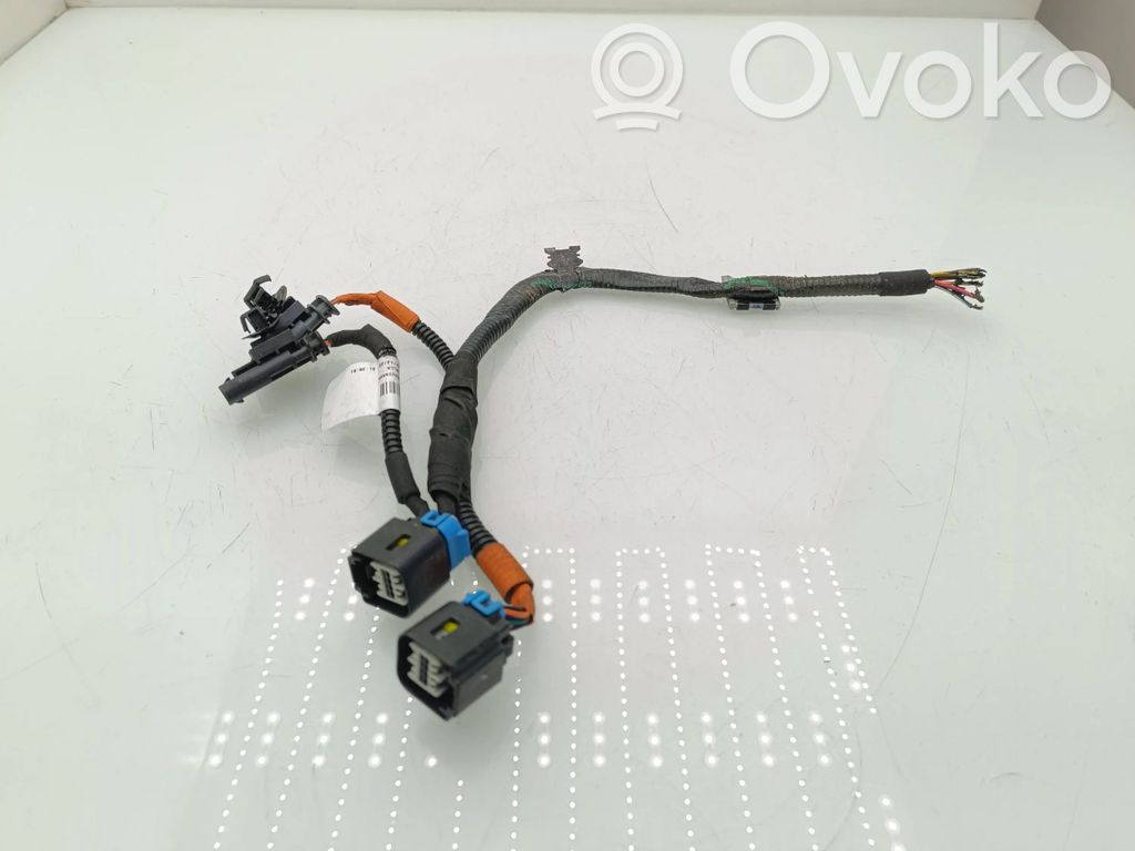 Tesla Model Y Other wiring loom 