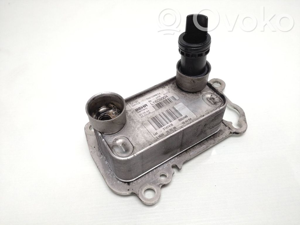 BMW X3 E83 Oil filter mounting bracket 