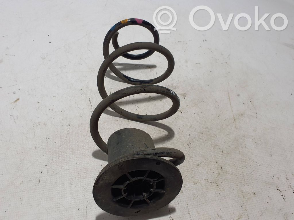 Renault Express Feder hinten 