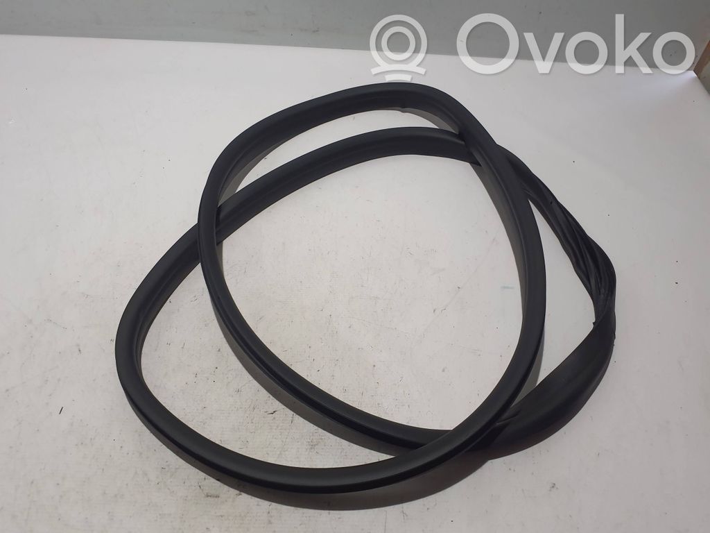 Renault Clio V Front door rubber seal 