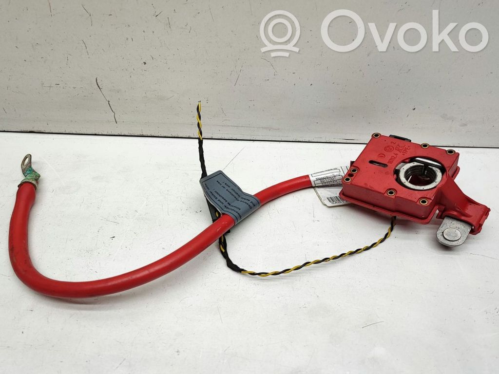 BMW 1 E82 E88 Positive cable (battery) 