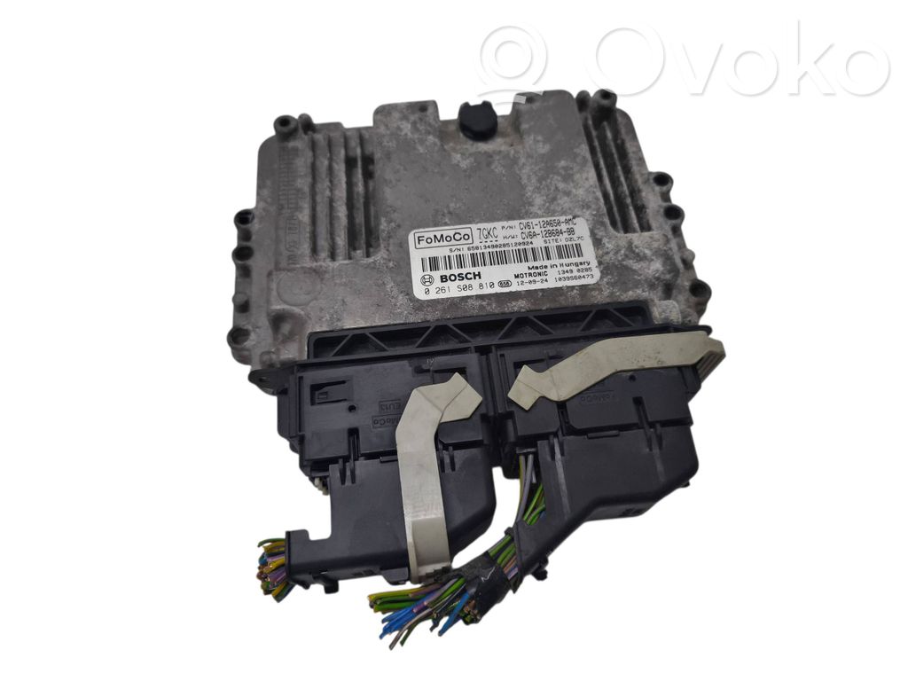 Ford Focus Engine control unit/module 