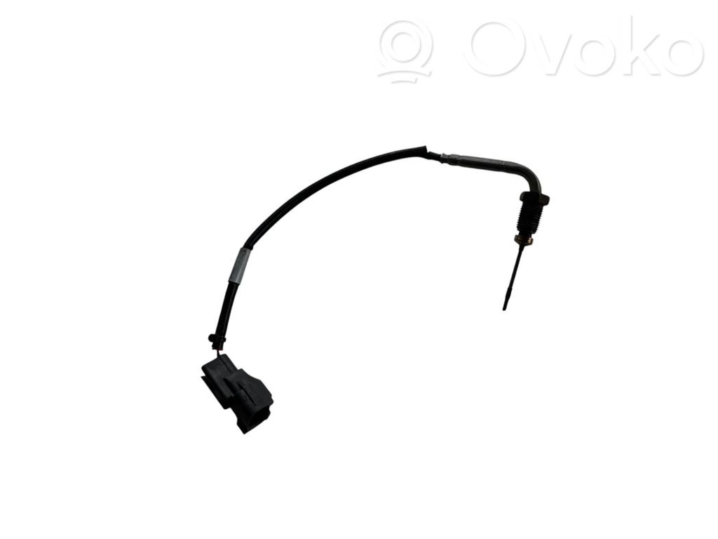 Toyota RAV 4 (XA40) Exhaust gas temperature sensor 