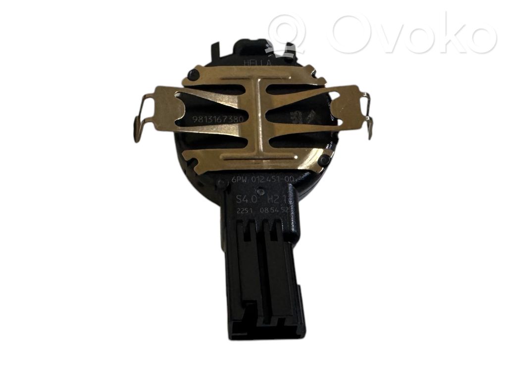 Sensor de lluvia   9813167380,6PW01245100