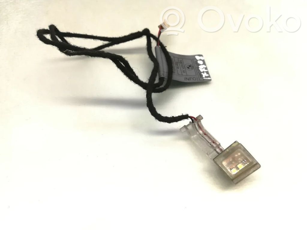 BMW 3 E92 E93 Front door wiring loom 