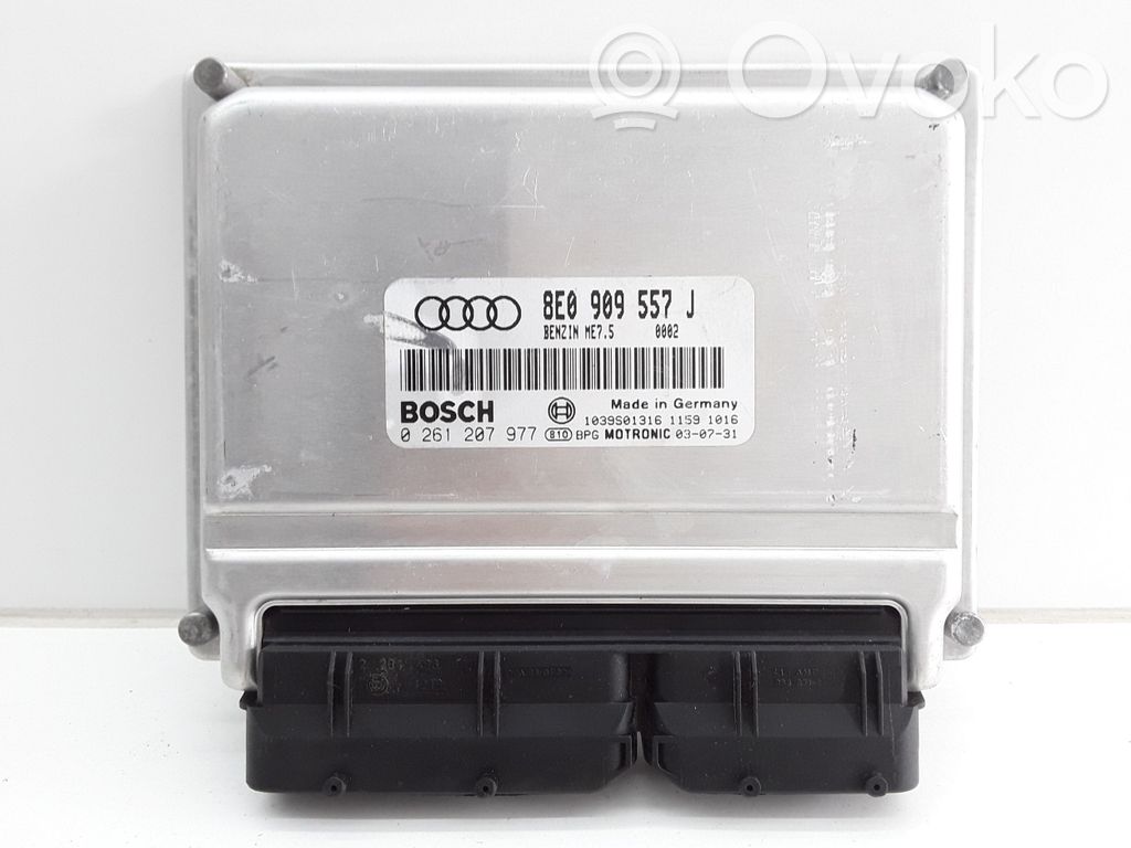 Audi A4 S4 B6 8E 8H Engine control unit/module 