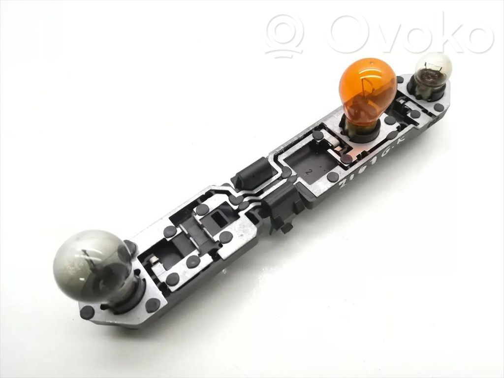 Ford Focus Tail light bulb cover holder 