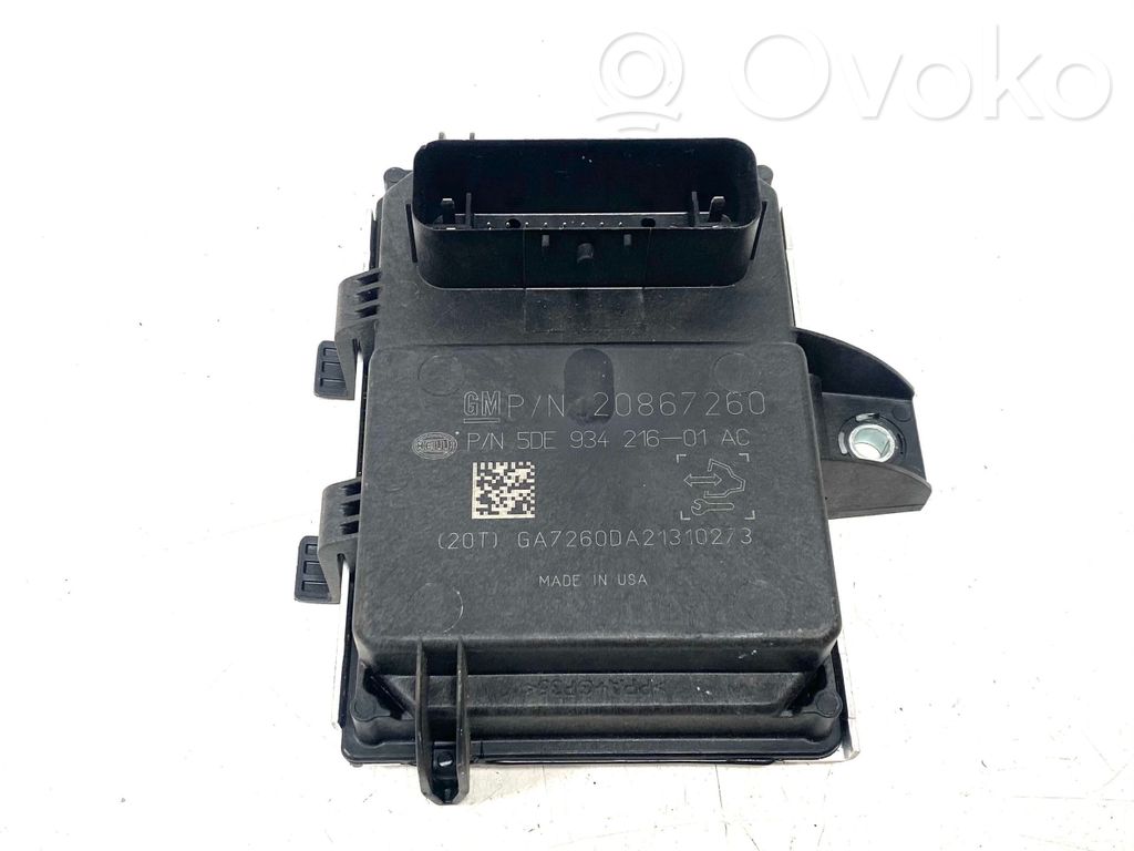 Opel Ampera Fuel injection pump control unit/module 