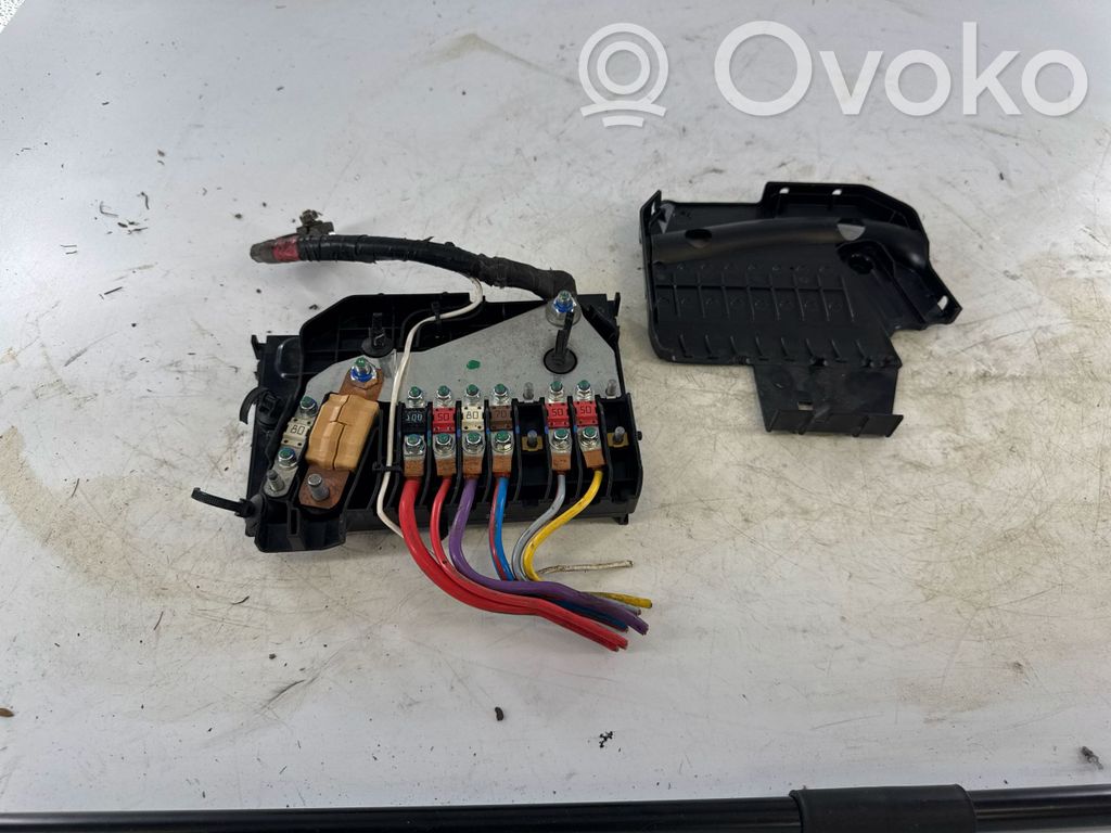Ford Focus Positive wiring loom 