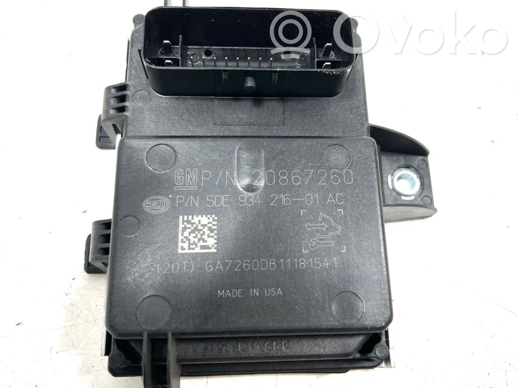 Opel Ampera Fuel injection pump control unit/module 