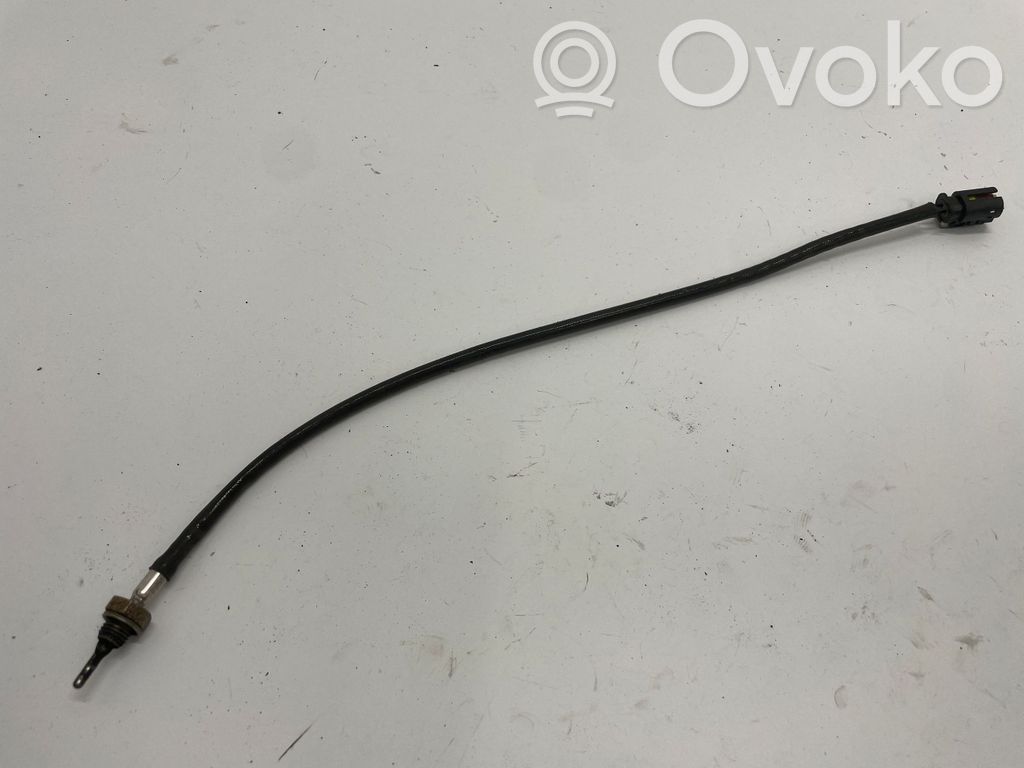 BMW 3 F30 F35 F31 Išmetamųjų dujų temperatūros daviklis 