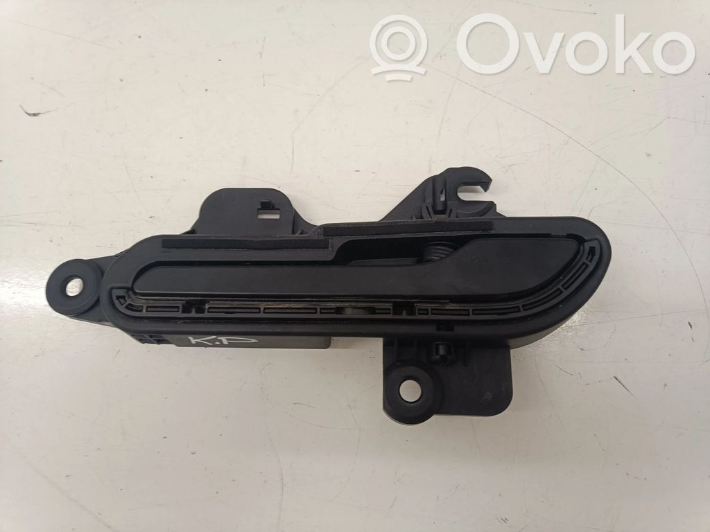 Tesla Model 3 Manecilla externa puerta delantera 