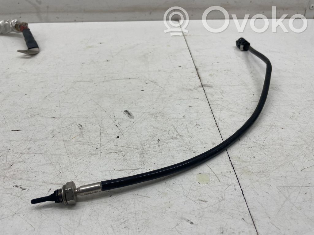 BMW 5 G30 G31 G38 Išmetamųjų dujų temperatūros daviklis 
