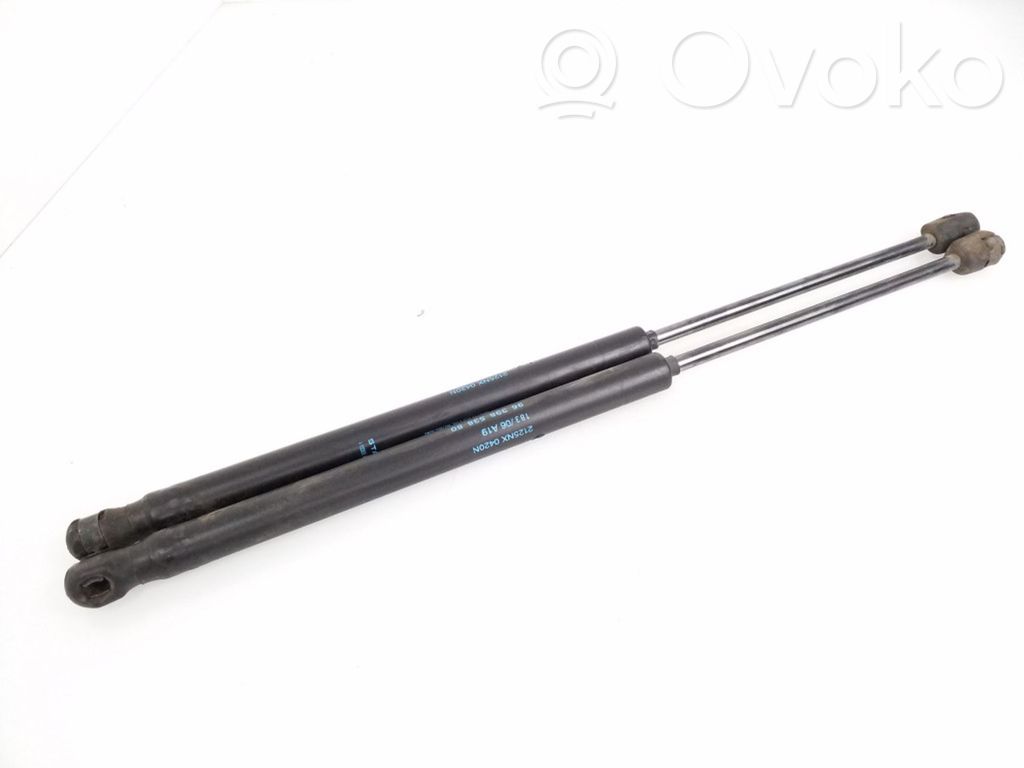 Citroen C3 Tailgate/trunk strut/damper 