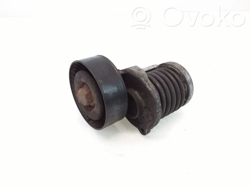 Audi A4 S4 B7 8E 8H Napinacz paska alternatora 
