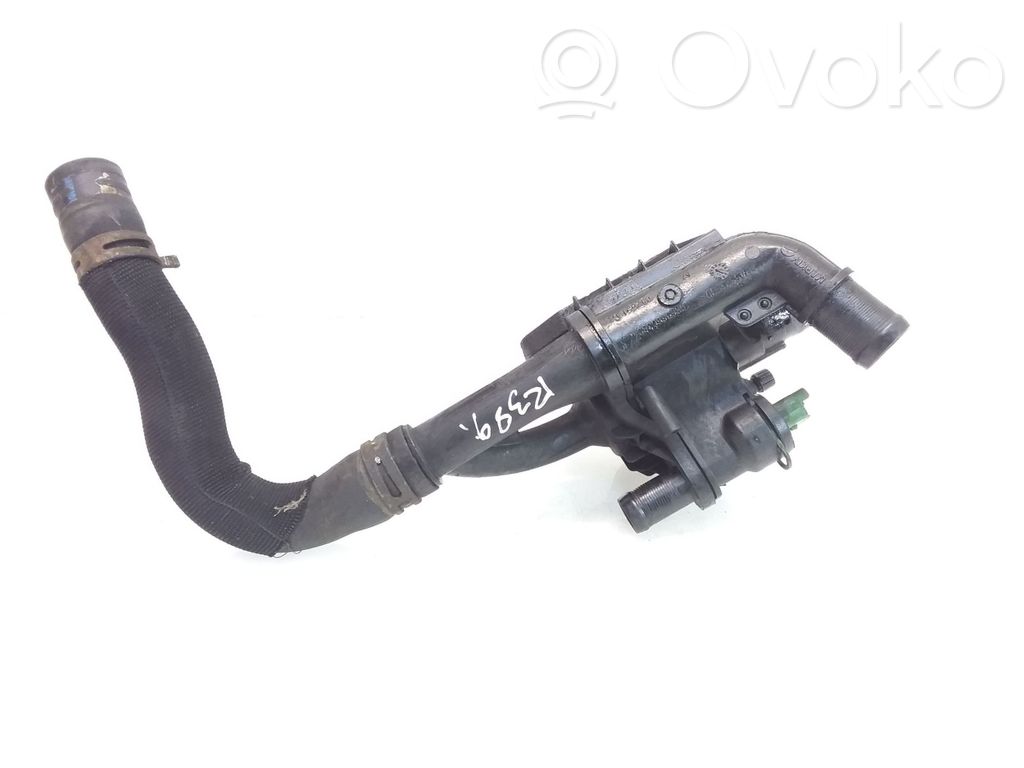 Citroen C5 Termostatas/ termostato korpusas 