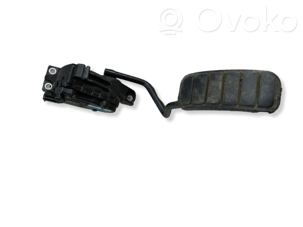 Renault Vel Satis Kaasupoljin 