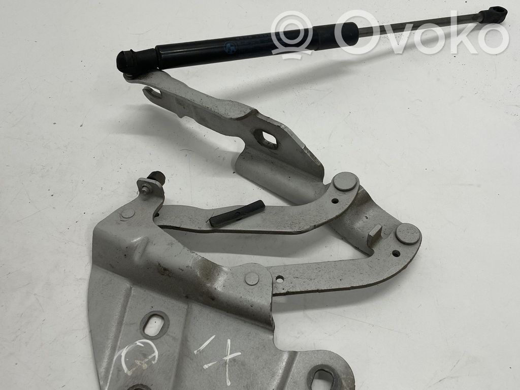 BMW X1 E84 Engine bonnet/hood hinges 