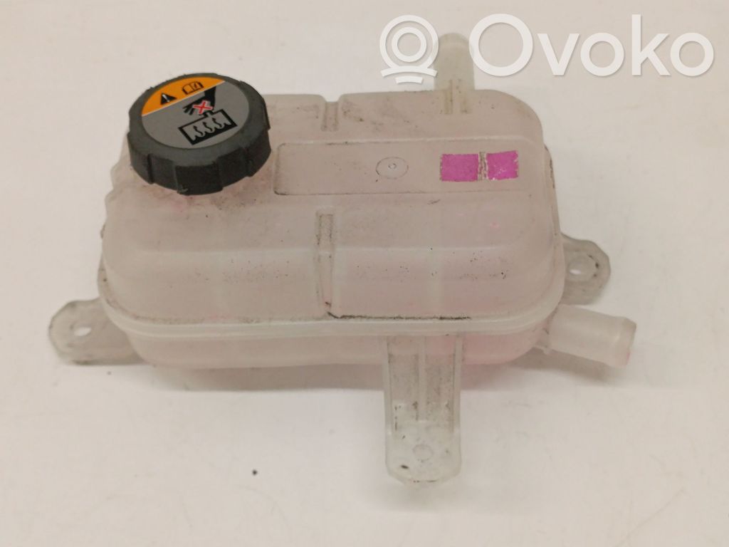 Zbiornik wyrównawczy chłodziwa   254R0P4500