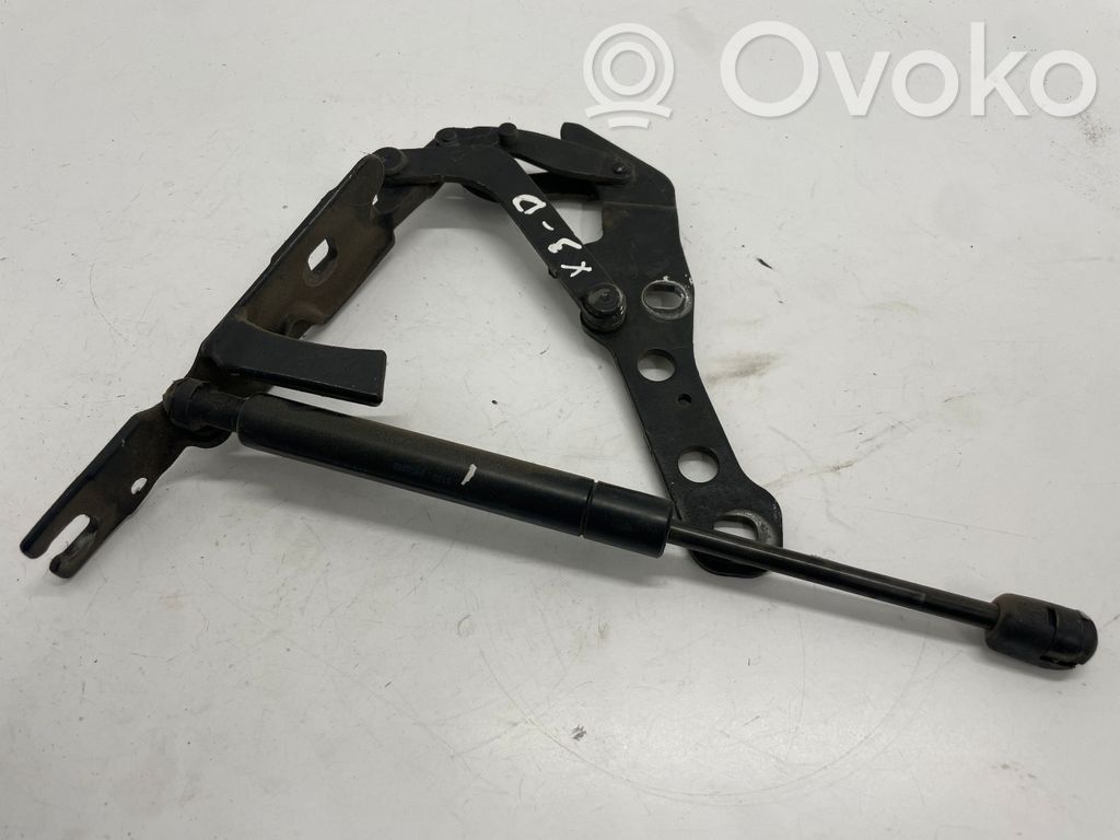 BMW X3 E83 Engine bonnet/hood hinges 