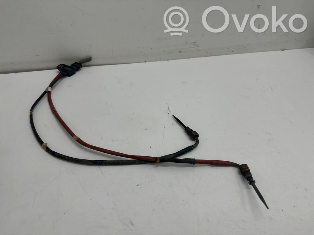 Nissan Qashqai J12 Išmetamųjų dujų temperatūros daviklis 