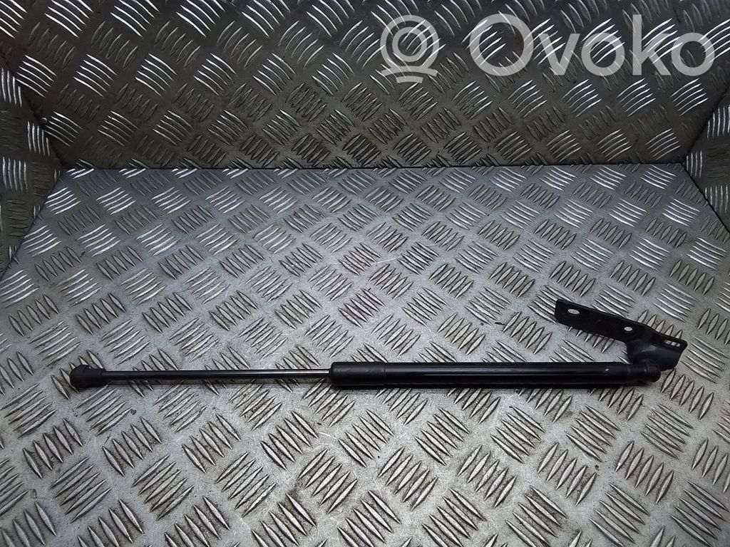 BMW 1 F20 F21 Bagāžnieka amortizators 
