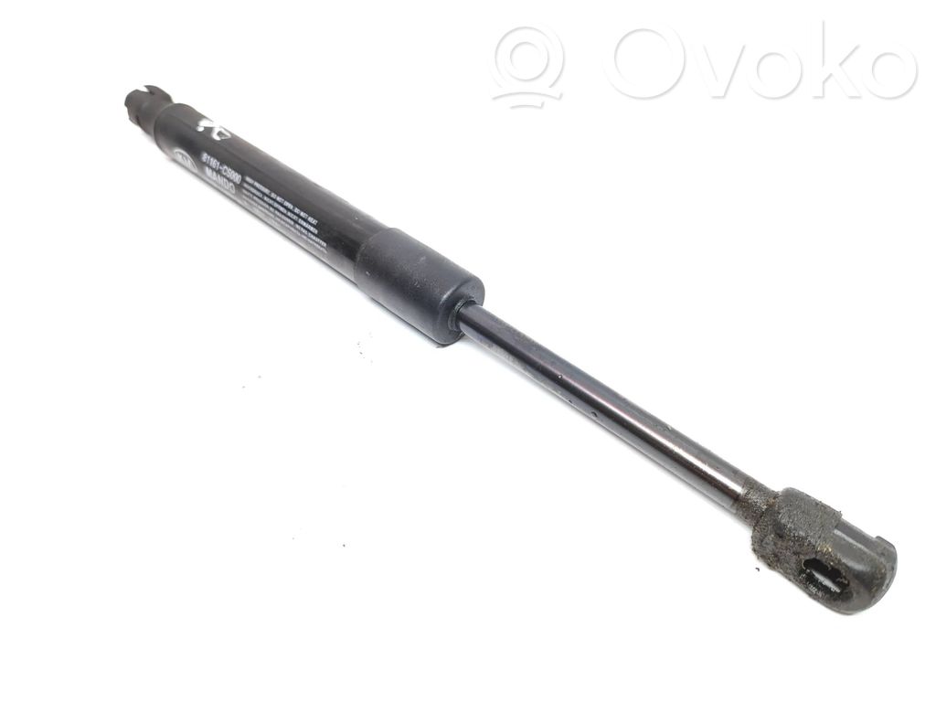 Siłownik maski przedniej   81161C5000