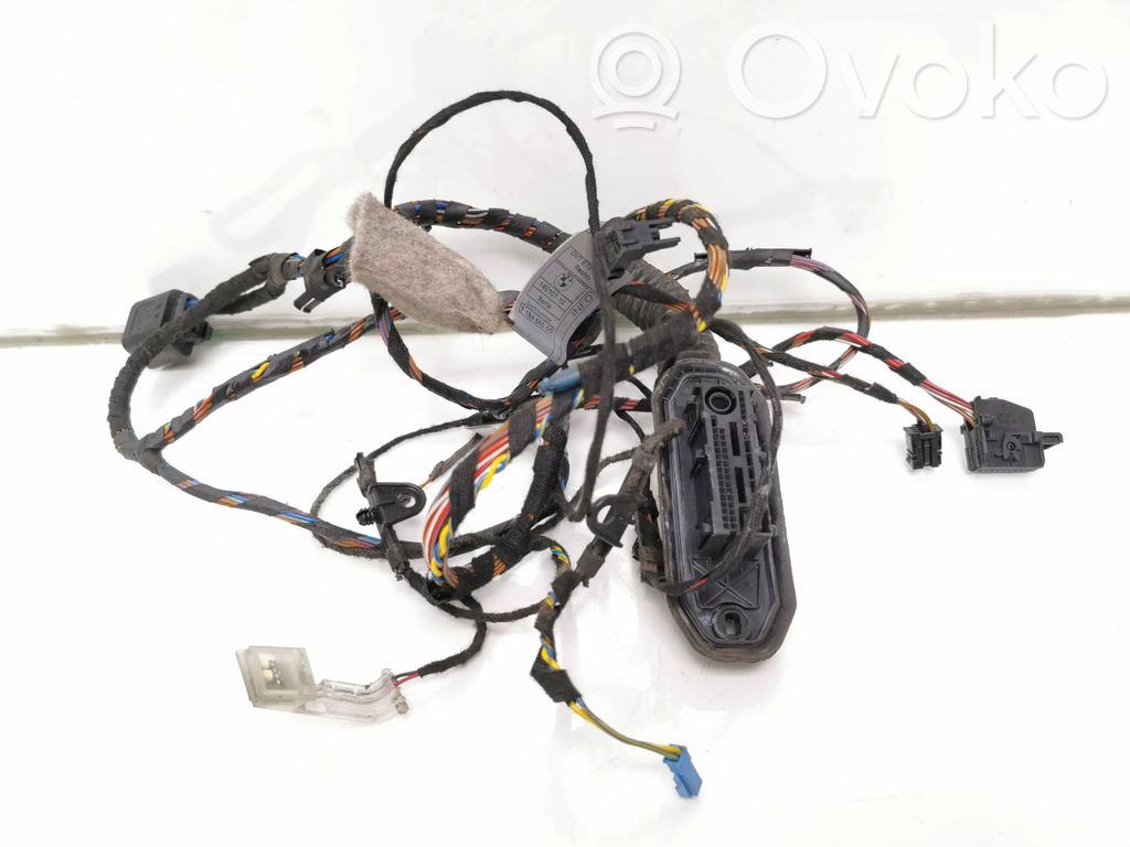 BMW X5 E70 Etuoven johtosarja 