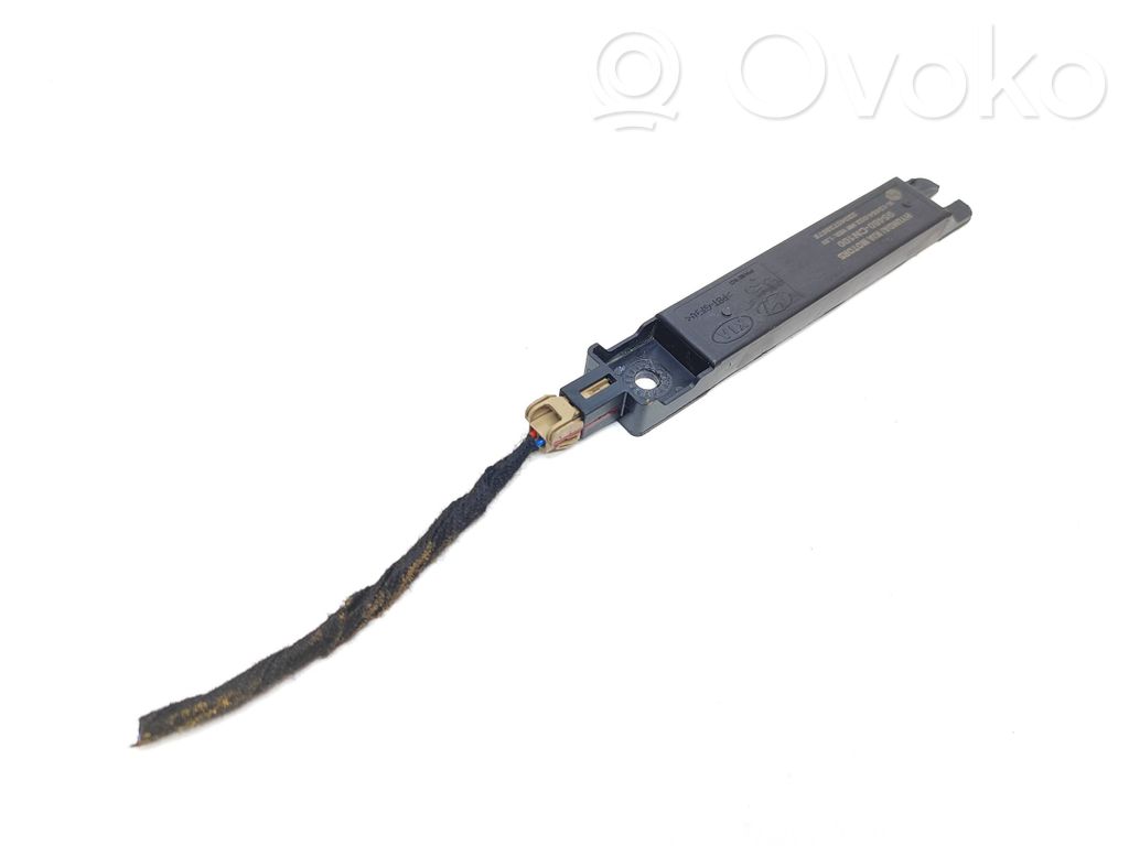 Hyundai Ioniq 5 Keyless system antenna 