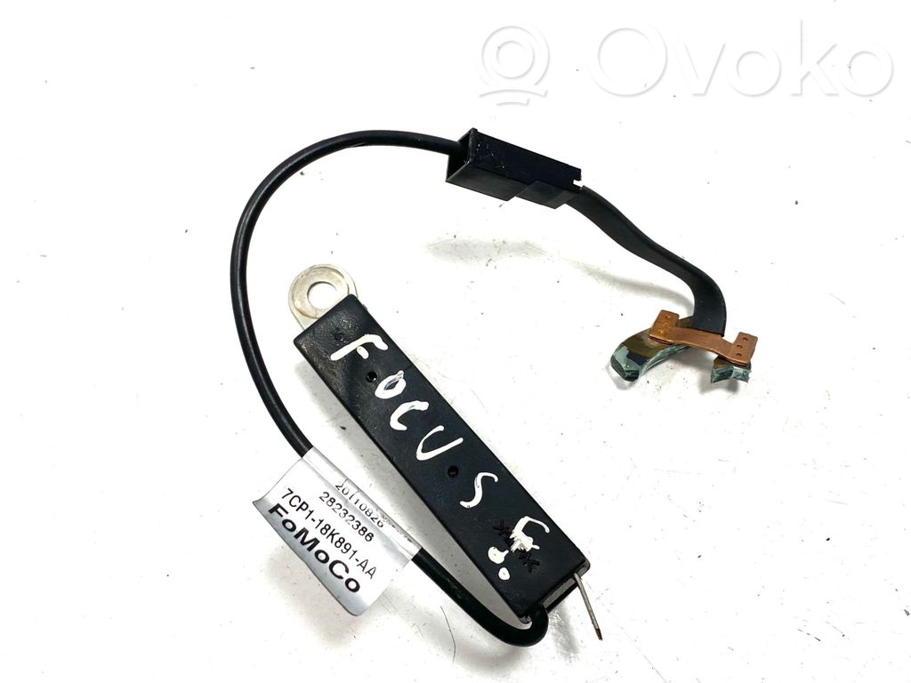Antenos stiprintuvas   28232386,7CP118K891AA,20110826