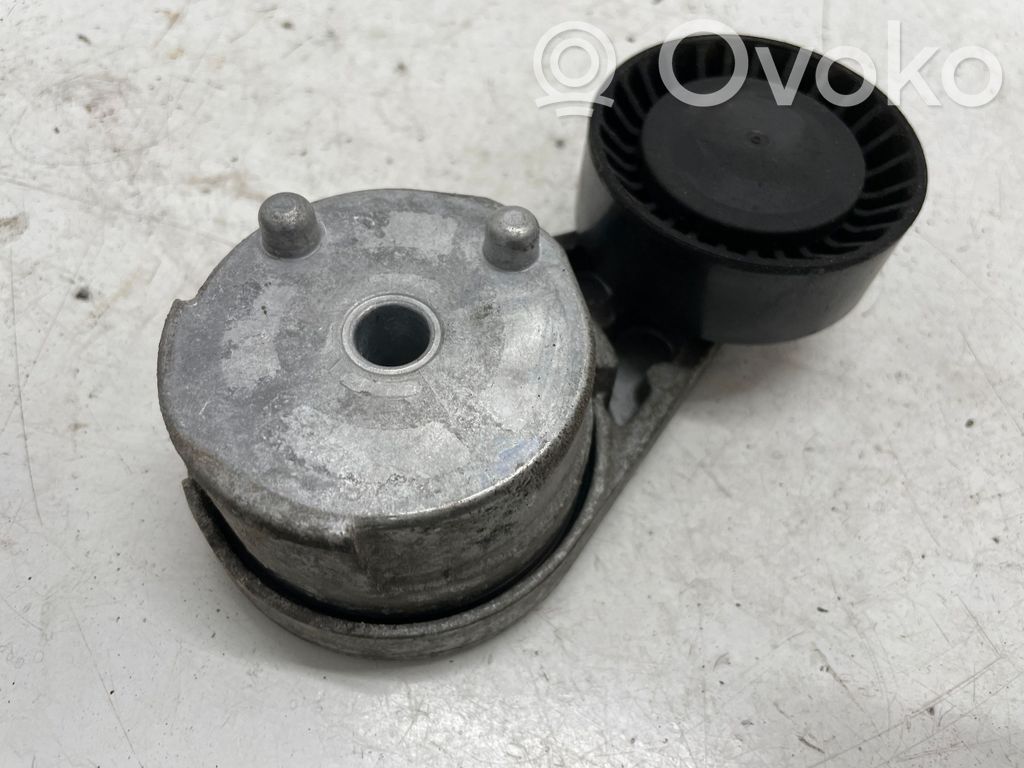 Land Rover Range Rover Sport L494 Întinzător curea generator/alternator 