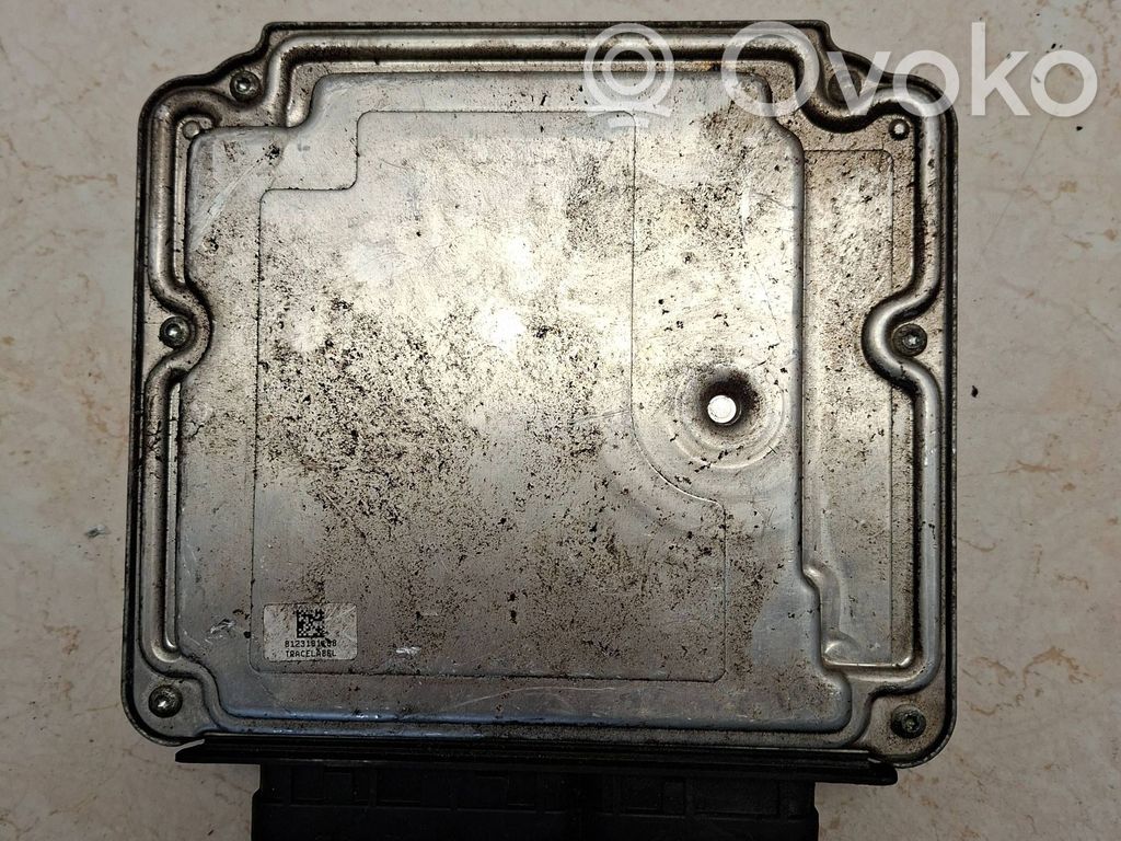 Engine control unit/module   0281014846,8966102S81,1002160