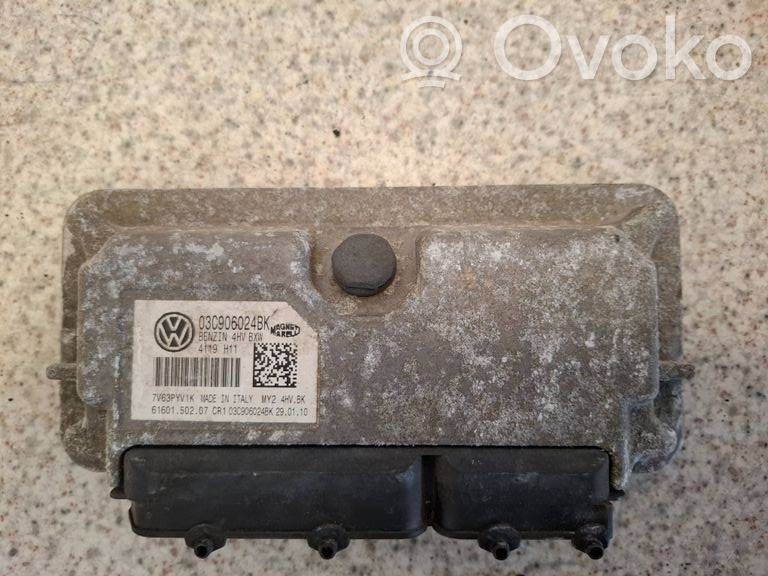 Seat Ibiza III (6L) Engine control unit/module 