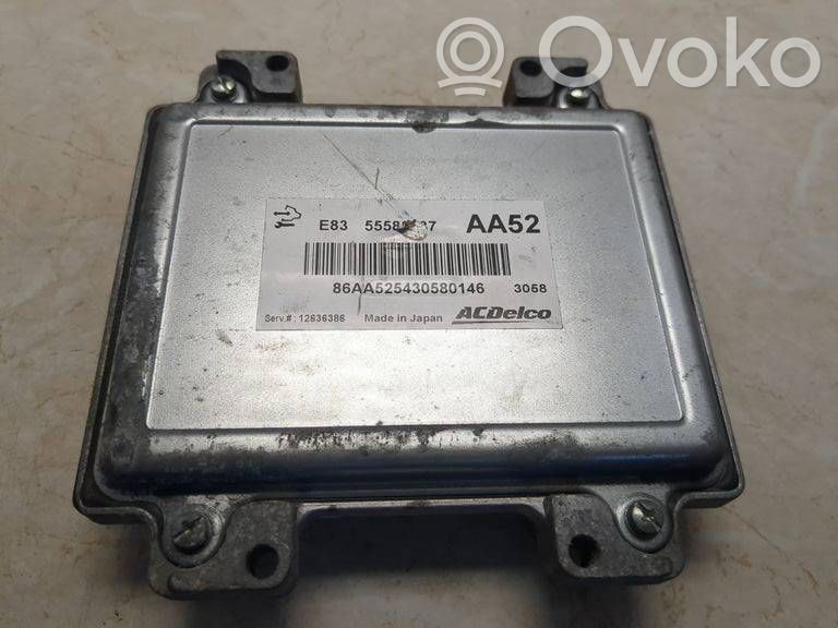 Unidad de control/módulo del motor   12636386,86AA525430580146,55583737